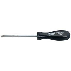Draper Tools Limited DRA34116 T20T X 100Mm Draper Tx-Star Security Driver