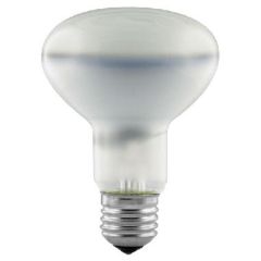 Generic P408 S1084 100W R80 Es/E27 Diffused Reflector 